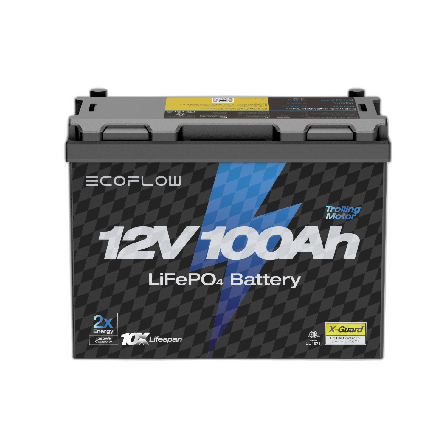 EcoFlow Lithium 12V 100Ah Deep Cycle LiFePO4 Battery