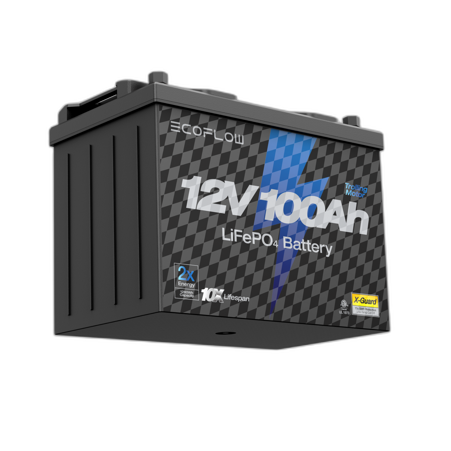 EcoFlow Lithium 12V 100Ah Deep Cycle LiFePO4 Battery