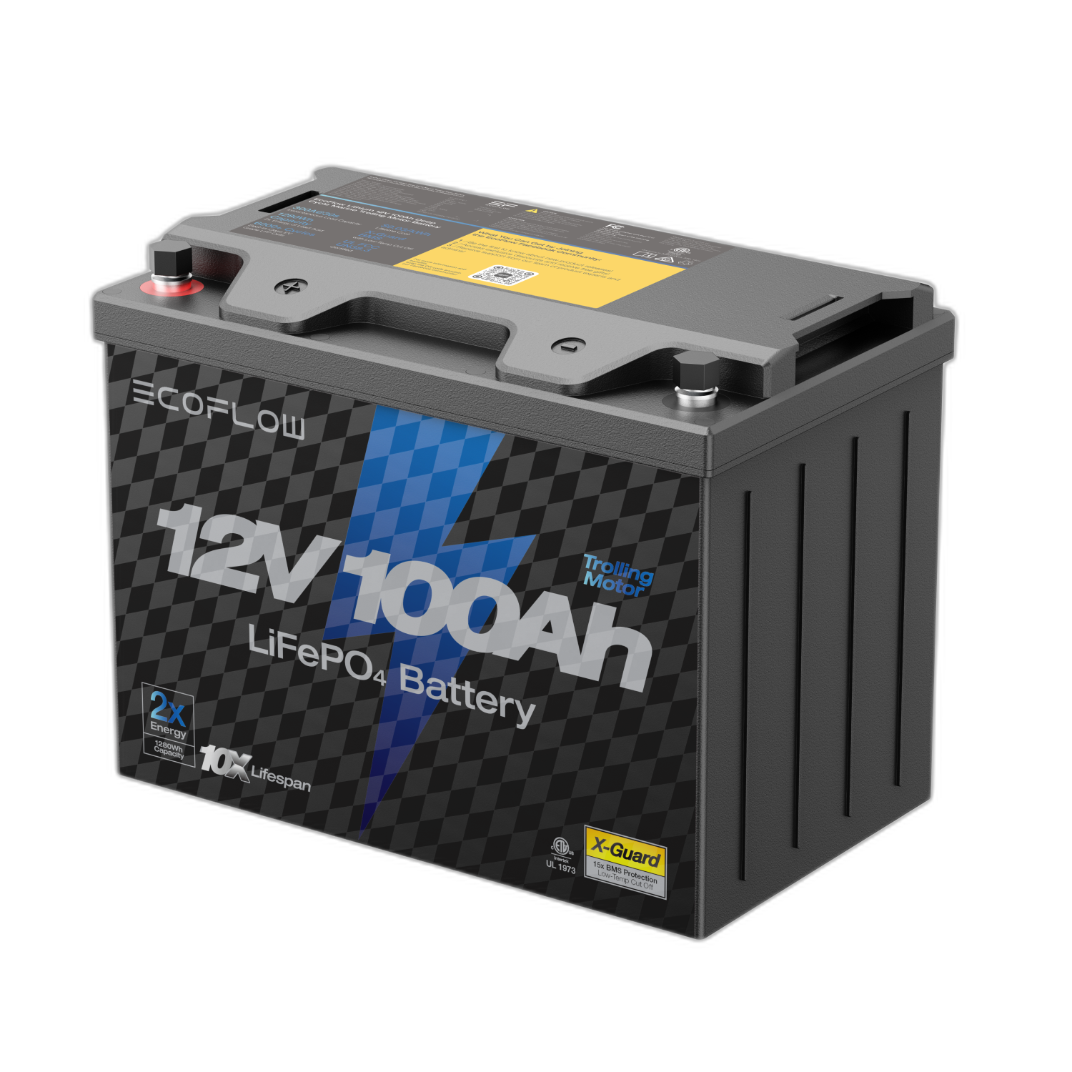 EcoFlow Lithium 12V 100Ah Deep Cycle LiFePO4 Battery