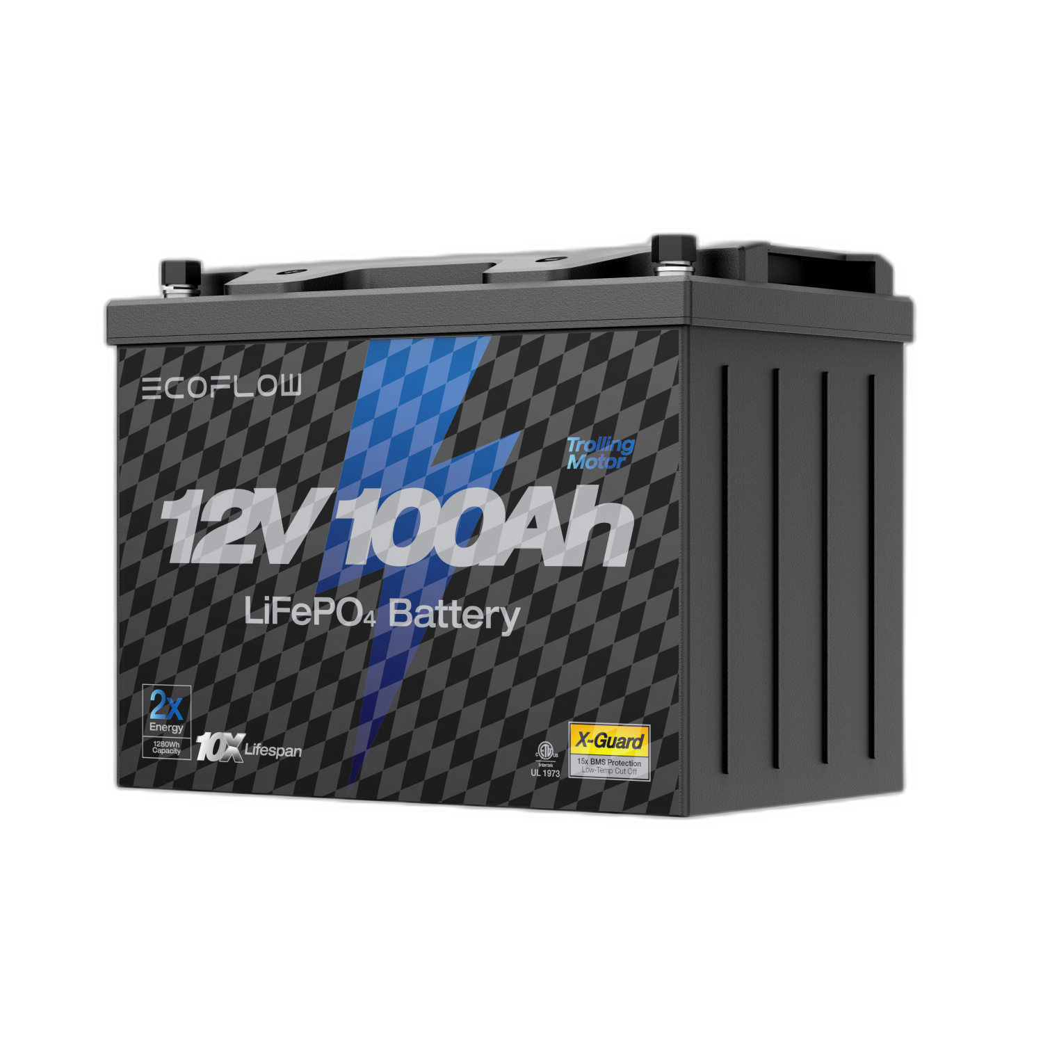 EcoFlow Lithium 12V 100Ah Deep Cycle LiFePO4 Battery