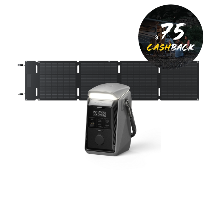 EcoFlow TRAIL Plus 300 DC + 60W Solar Panel