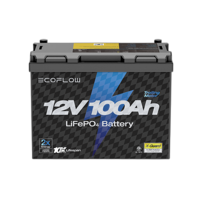 EcoFlow Lithium 12V 100Ah Deep Cycle LiFePO4 Battery
