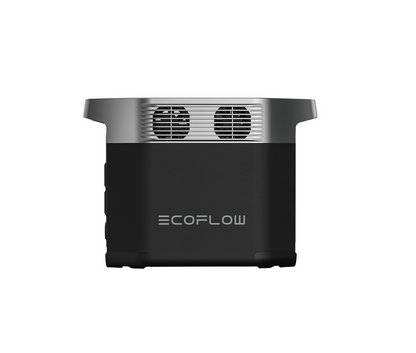 EcoFlow Delta 2 + 160W Lightweight Solar Panel