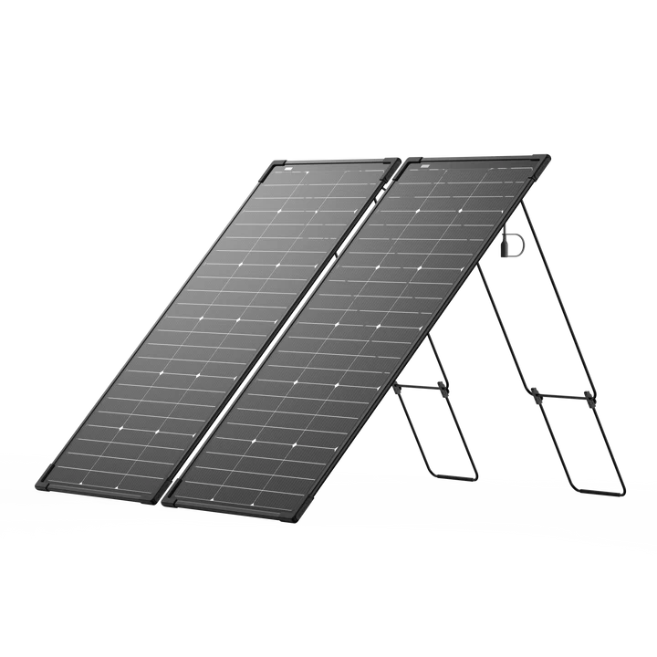 EcoFlow 125W Bifacial Modular Solar Panel x 2