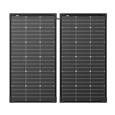 EcoFlow 125W Bifacial Modular Solar Panel x 2