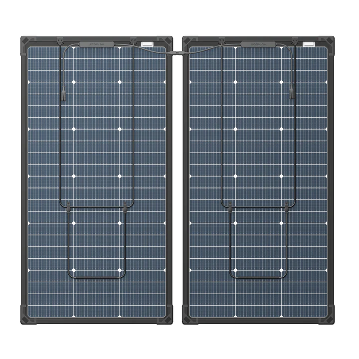 EcoFlow 125W Bifacial Modular Solar Panel x 2